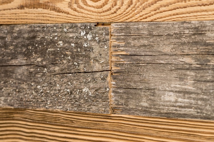 Rustikale Old Wood Bretter #10