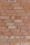 Gotische-Ziegelfliesen-1.webp